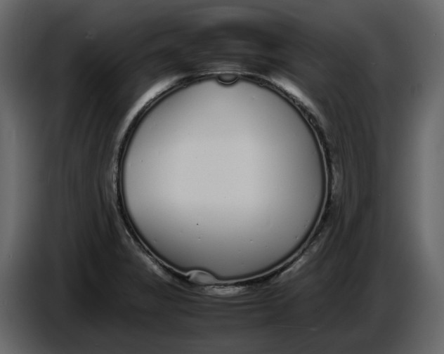 X0000086911325200705071256