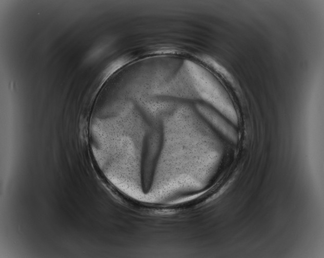 X0000086911329200705071256