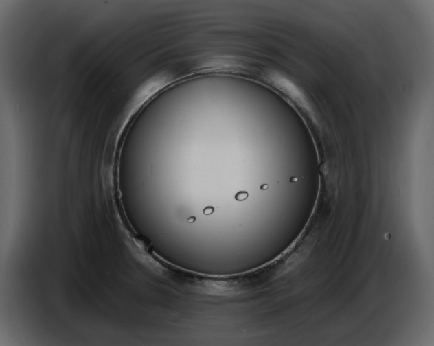 X0000086911330200705071256