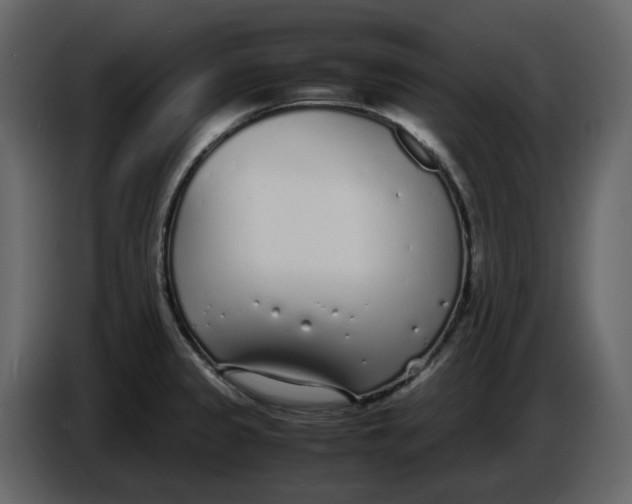 X0000086911333200705071256