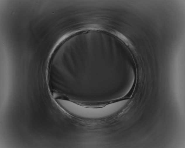 X0000086911334200705071256