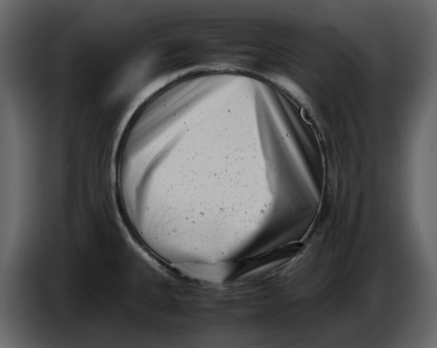 X0000086911335200705071256