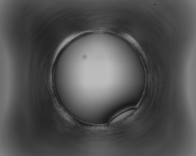 X0000086911336200705071256