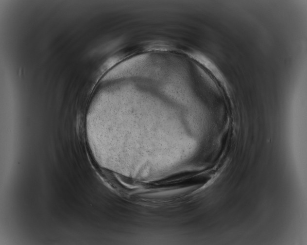 X0000086911337200705071256