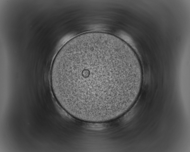 X0000086911338200705071256