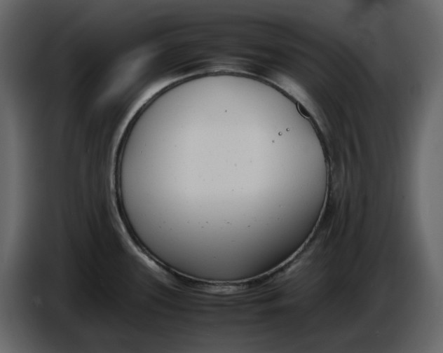 X0000086911339200705071256