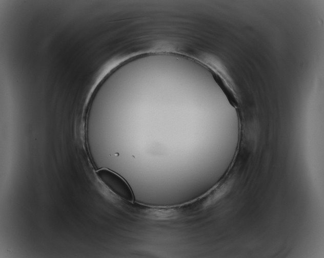 X0000086911340200705071256