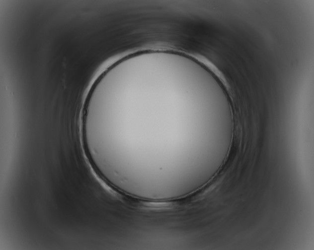 X0000086911343200705071256