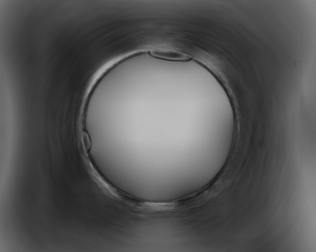 X0000086911344200705071256