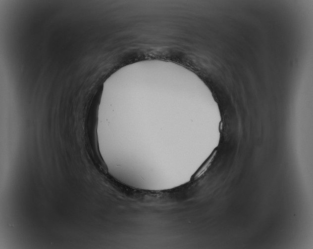 X0000086911345200705071255