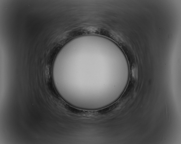 X0000086911347200705071255