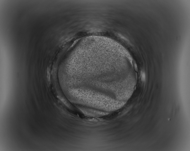 X0000086911348200705071255