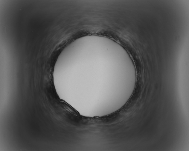 X0000086911349200705071255