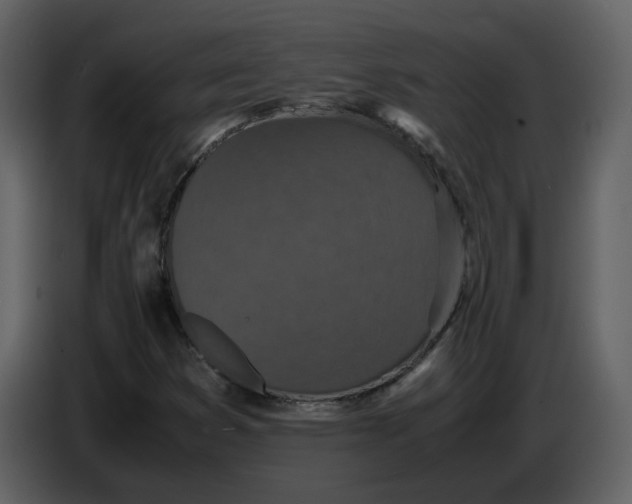 X0000086911353200705071255