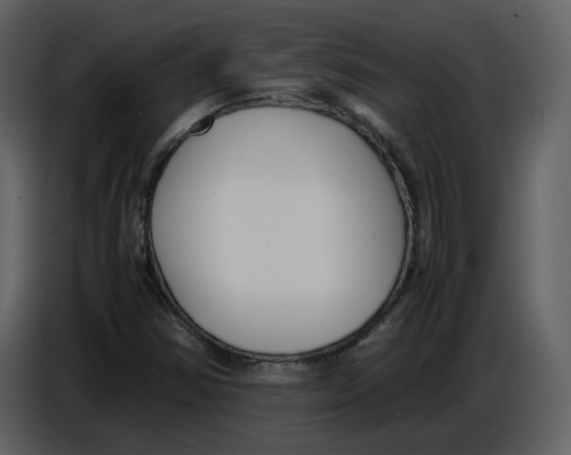 X0000086911354200705071255