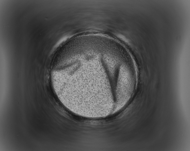 X0000086911355200705071255