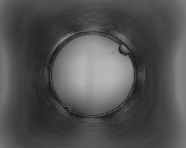 X0000086911356200705071255