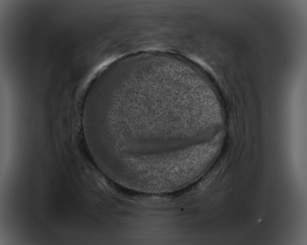 X0000086911359200705071255