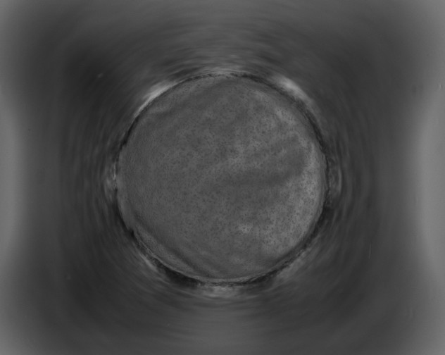 X0000086911361200705071255