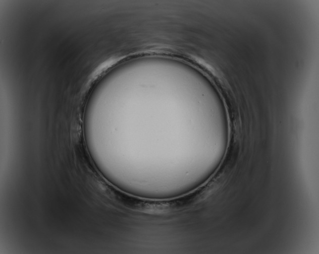 X0000086911363200705071255