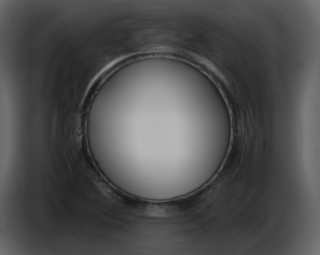 X0000086911364200705071255