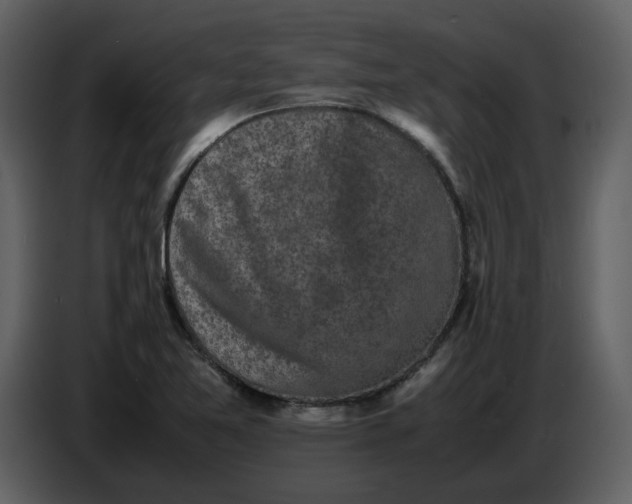 X0000086911365200705071255