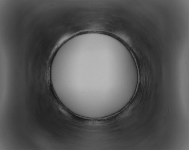 X0000086911366200705071255