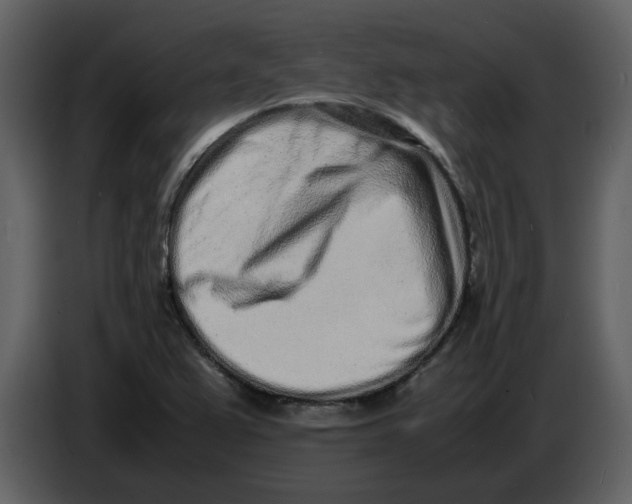 X0000086911367200705071255