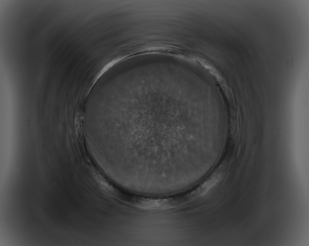 X0000086911369200705071255