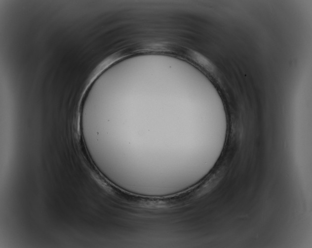 X0000086911370200705071255