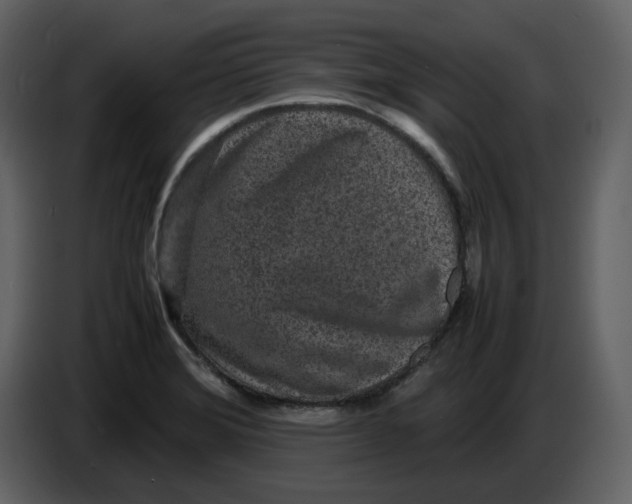 X0000086911372200705071255