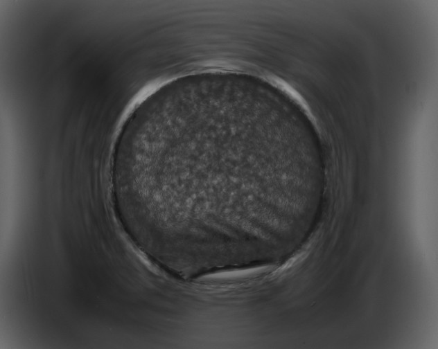 X0000086911373200705071255