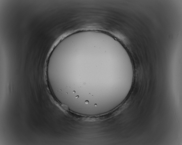 X0000086911374200705071255