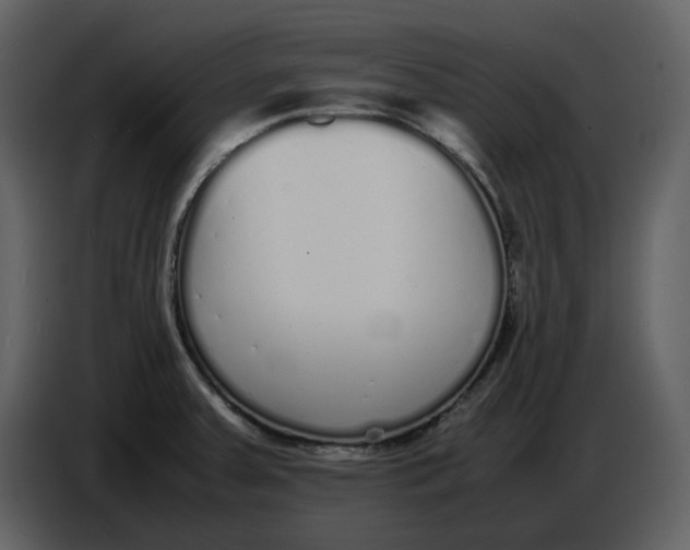 X0000086911379200705071255