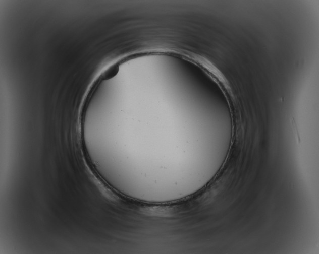 X0000086911380200705071255