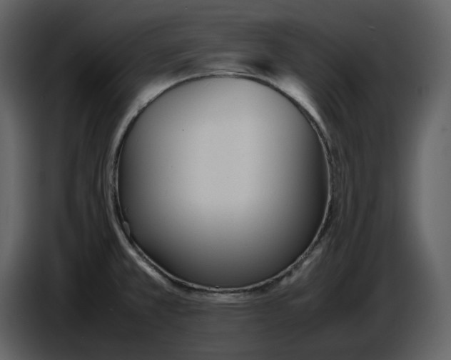 X0000086911381200705071255