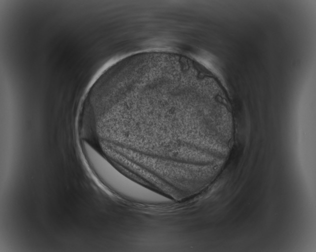 X0000086911383200705071255