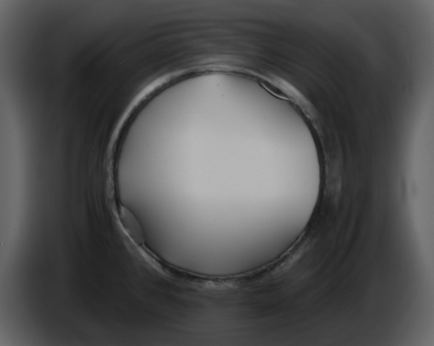 X0000086911384200705071255