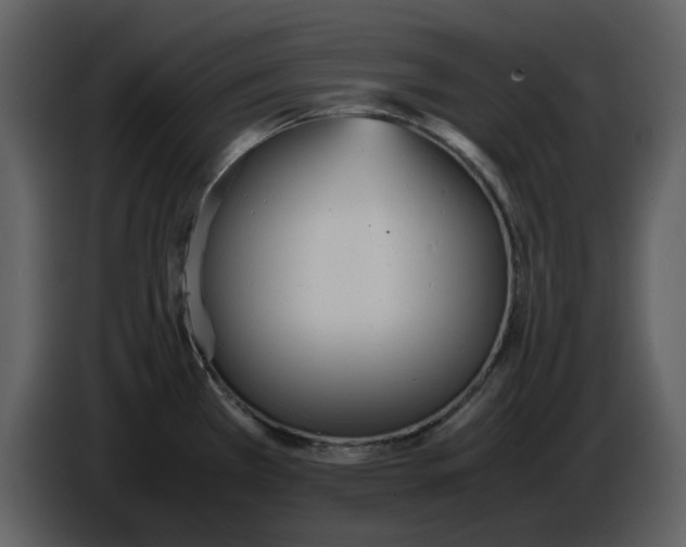 X0000086911385200705071255