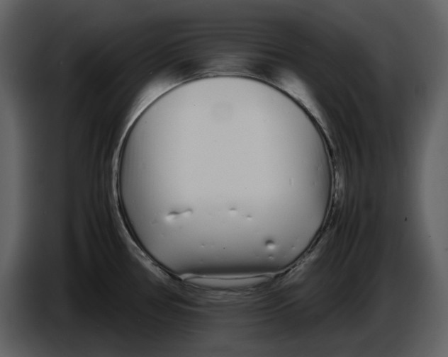 X0000086911386200705071255