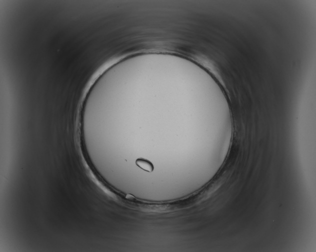 X0000086911387200705071255