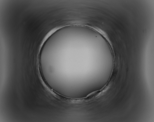 X0000086911389200705071255