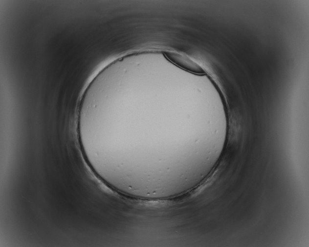 X0000086911390200705071255