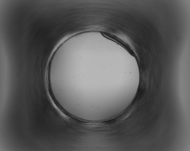 X0000086911391200705071255