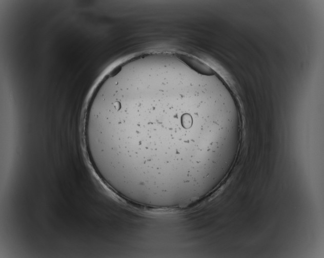 X0000086911392200705071255