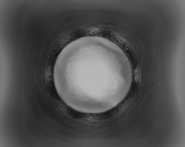 X0000086911395200705071254