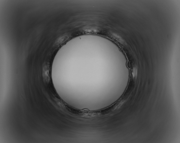 X0000086911396200705071254