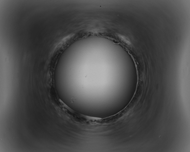 X0000086911398200705071254