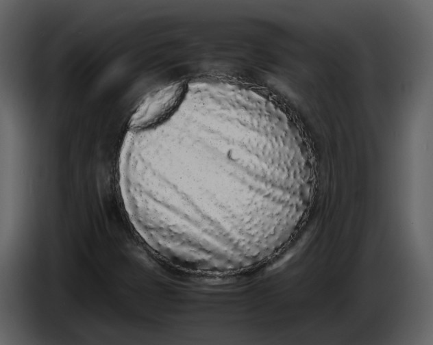 X0000086911401200705071254