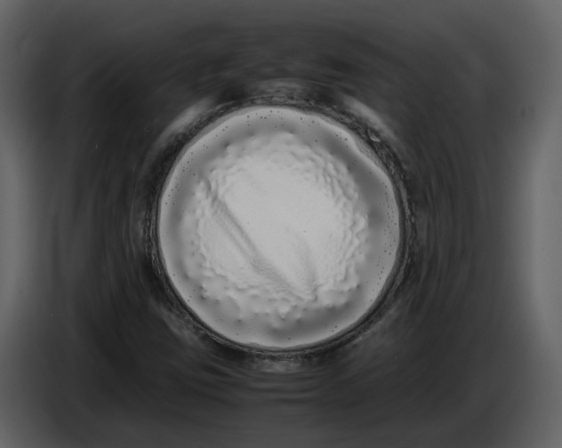 X0000086911403200705071254